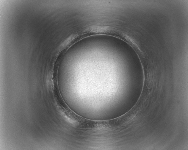 X0000067850682200604171225