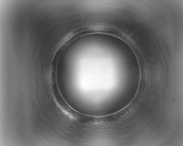 X0000067850730200604171224
