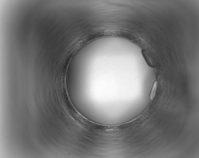 X0000067850744200604171224