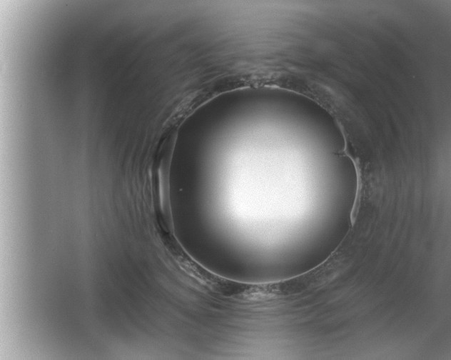 X0000067850756200604171224