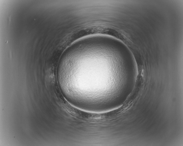 X0000067850771200604171223