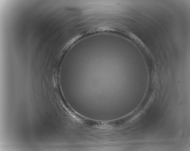 X0000067850785200604171223