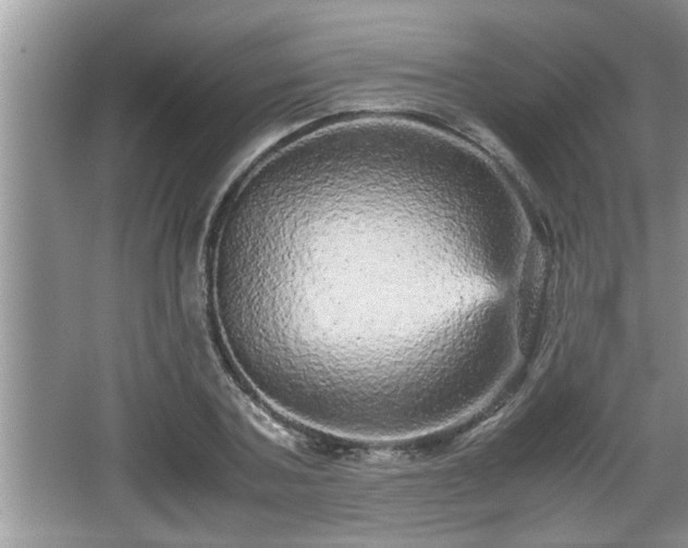 X0000067850787200604171223