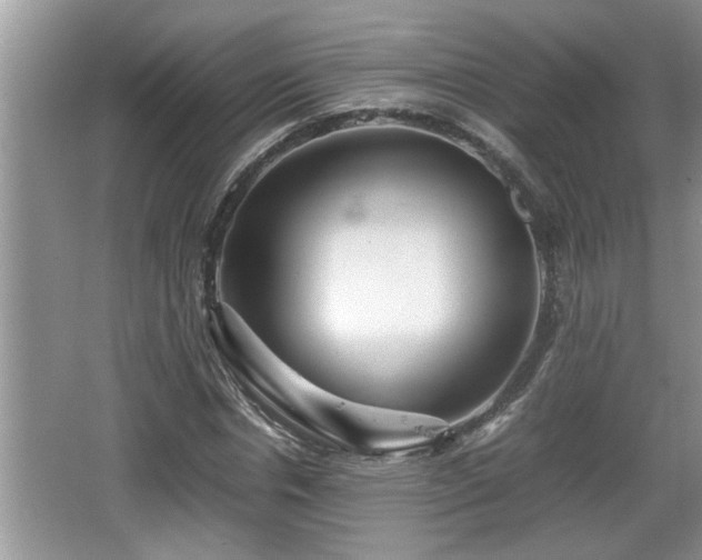 X0000067850826200604171222