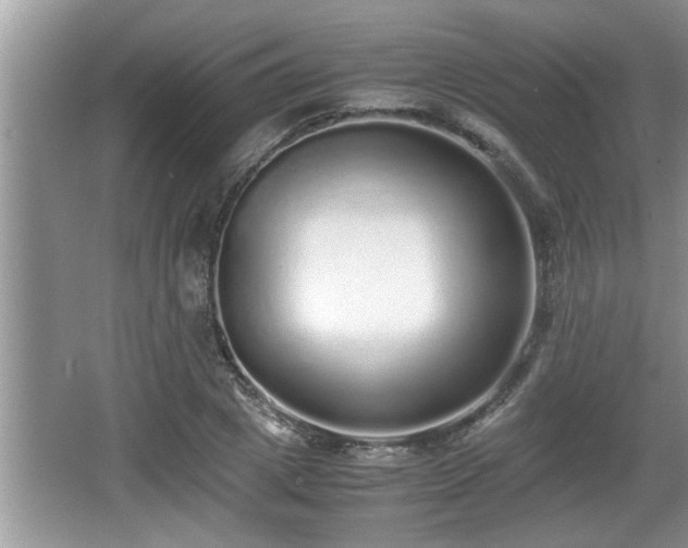 X0000067850833200604171222