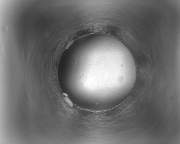 X0000067850865200604171222
