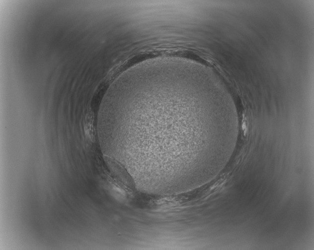 X0000067850867200604171222