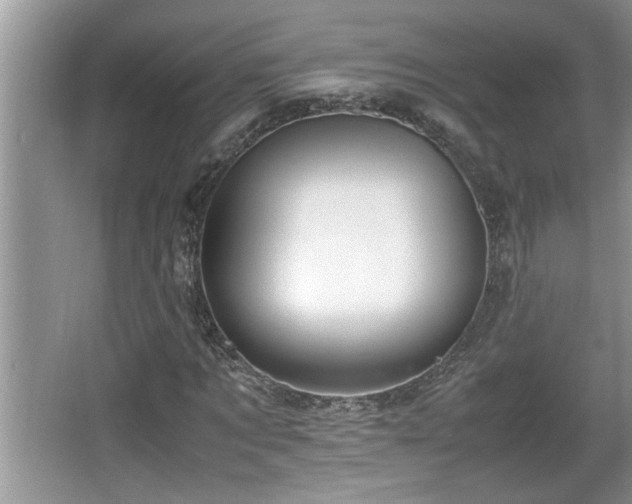 X0000067850869200604171222