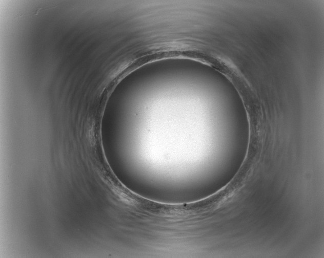 X0000067850873200604171222