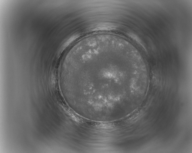 X0000067850874200604171222