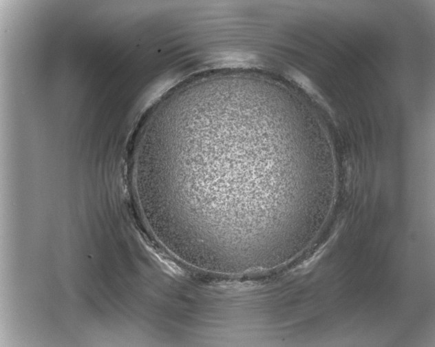 X0000067850970200604171220