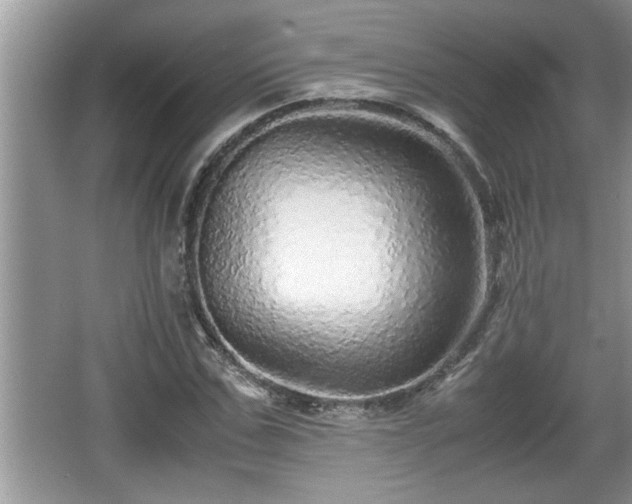 X0000067850971200604171220