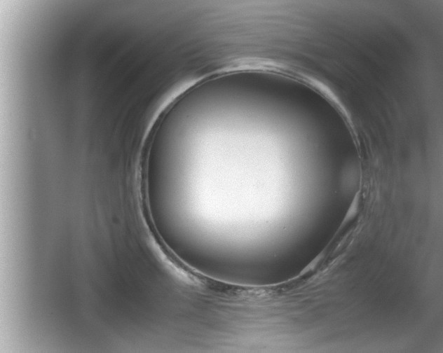 X0000067851003200604171219