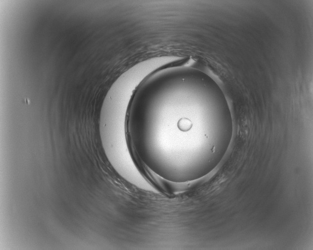 X0000067851010200604171219