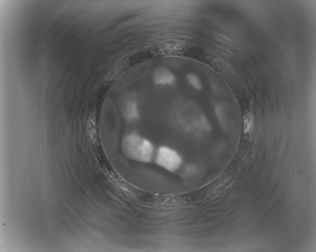 X0000067851011200604171219
