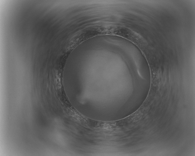 X0000067851013200604171219