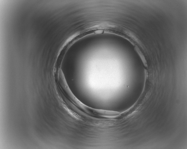 X0000067851026200604171219