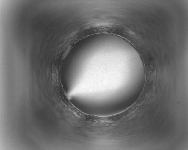 X0000067851061200604171218