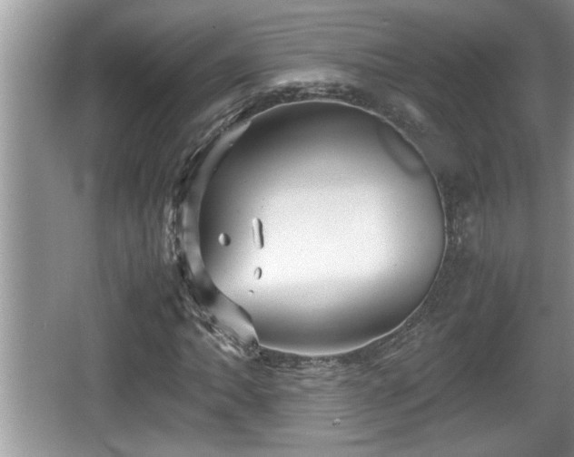 X0000067851062200604171218
