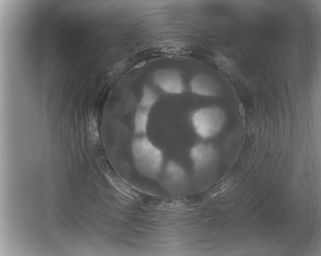 X0000067851106200604171217