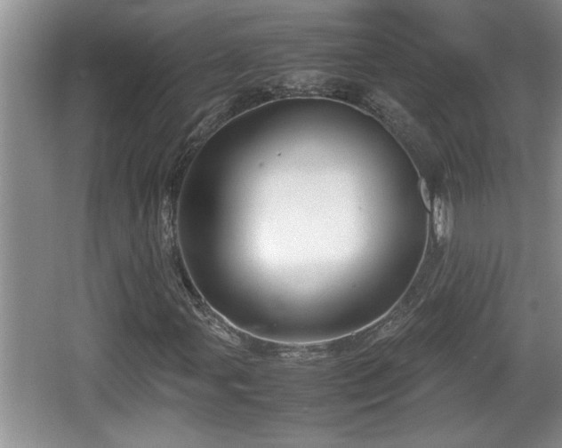 X0000067851107200604171217