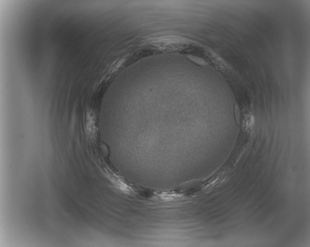 X0000067851108200604171217