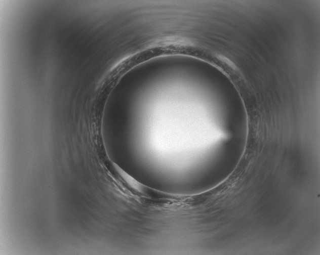 X0000067851112200604171217