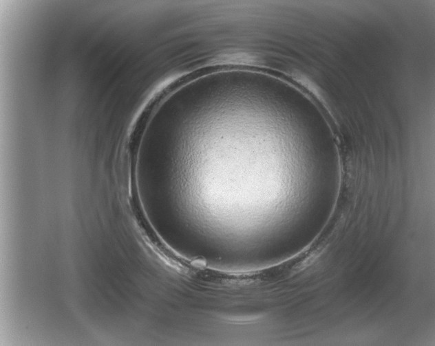 X0000067851123200604171217