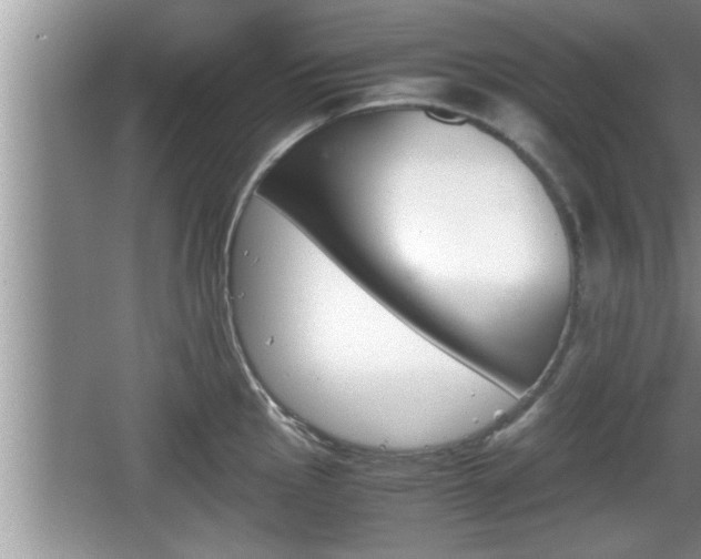 X0000067851145200604171218