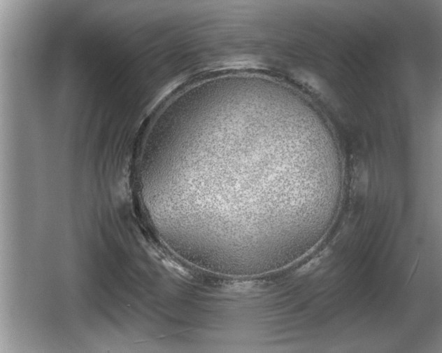 X0000067851162200604171217