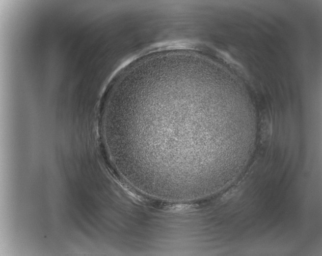 X0000067851166200604171217