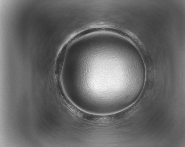 X0000067851167200604171217