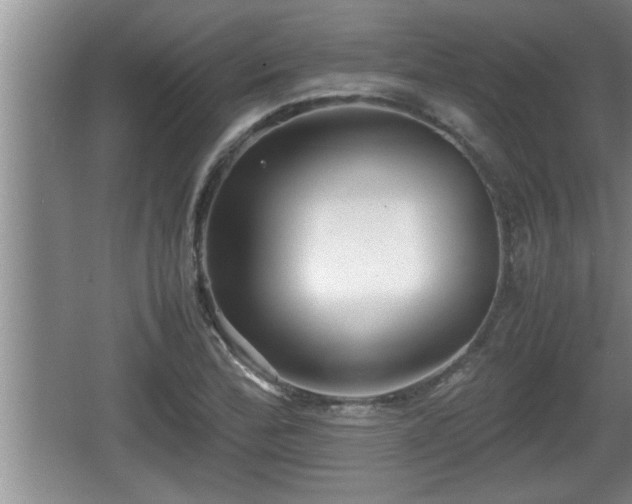 X0000067851172200604171217