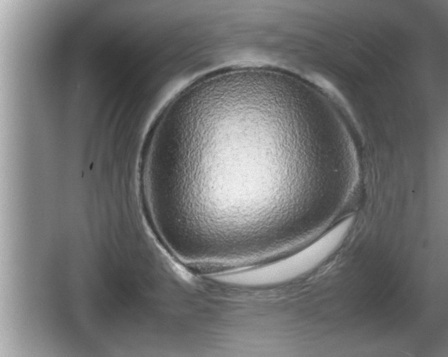 X0000067851183200604171216