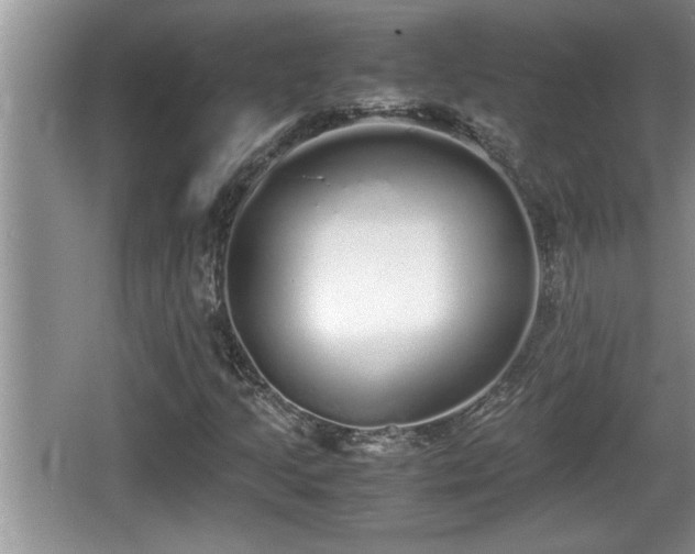 X0000067851205200604171215