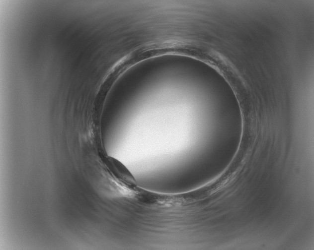 X0000067851210200604171215