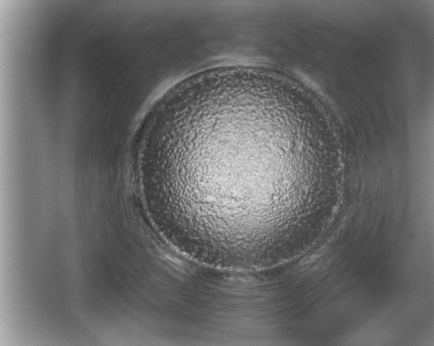 X0000067851215200604171215