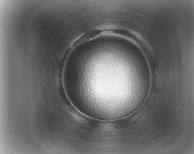 X0000067851217200604171216