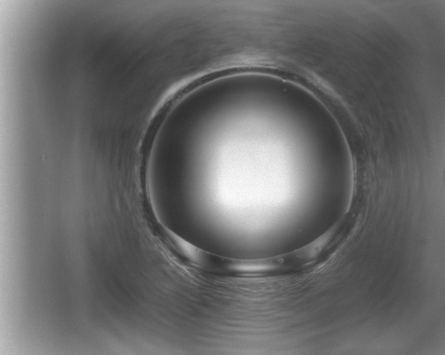 X0000067851222200604171216