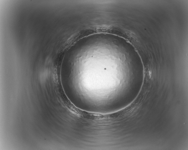 X0000067851252200604171215