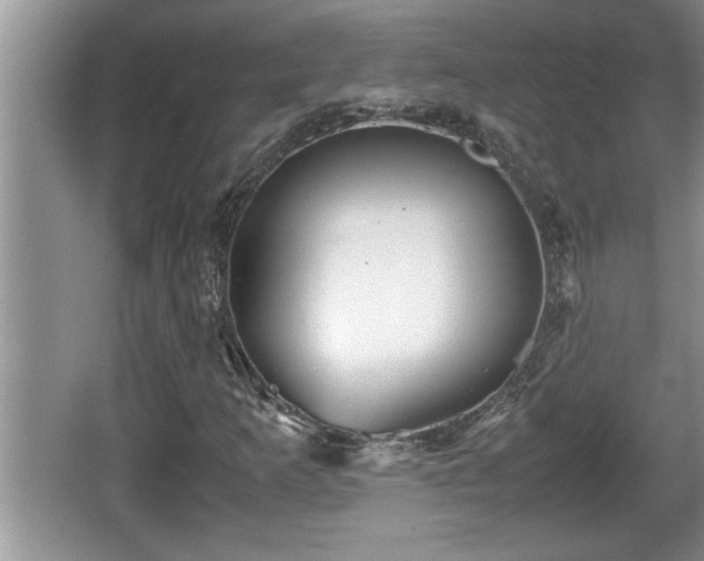 X0000067851253200604171215