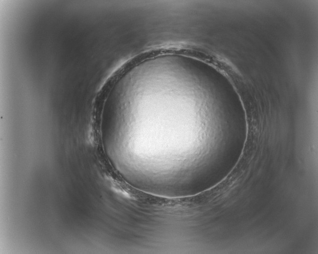 X0000067851256200604171215