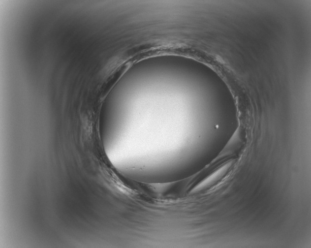 X0000067851257200604171215