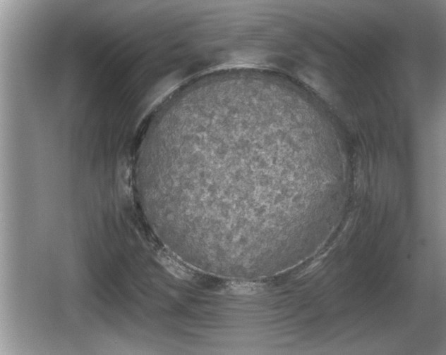 X0000067851258200604171215
