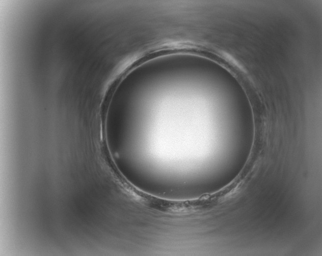 X0000067851269200604171215