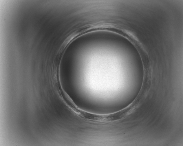 X0000067851273200604171215