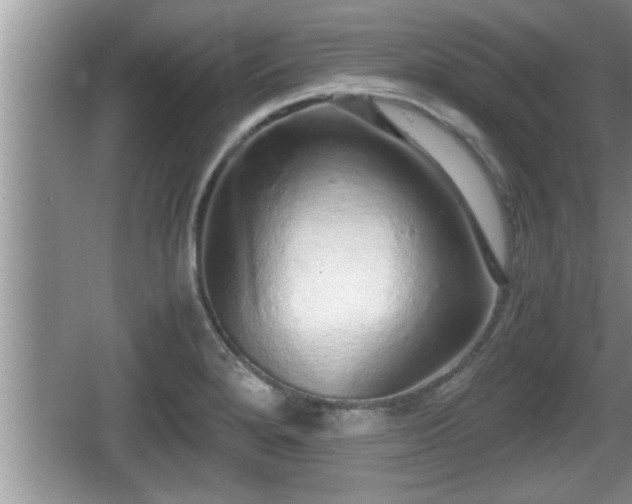 X0000067851280200604171215