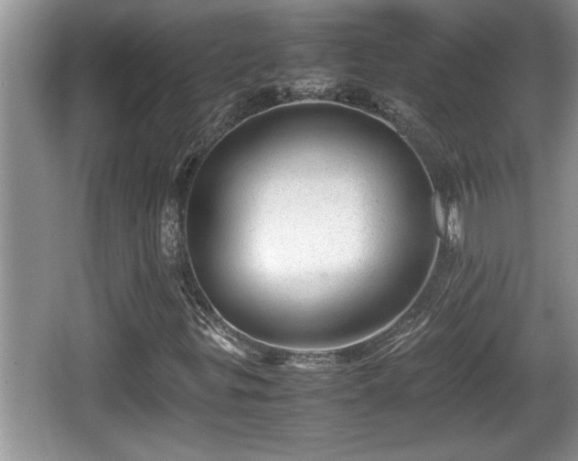 X0000067851299200604171214