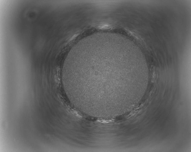 X0000067851301200604171214