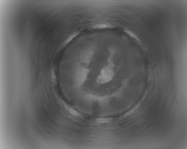 X0000067851305200604171214
